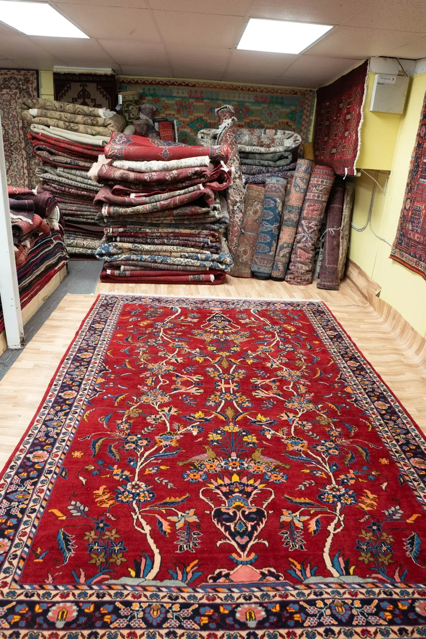Sarouk Wool Rug 7.0 x 10.0 View 2