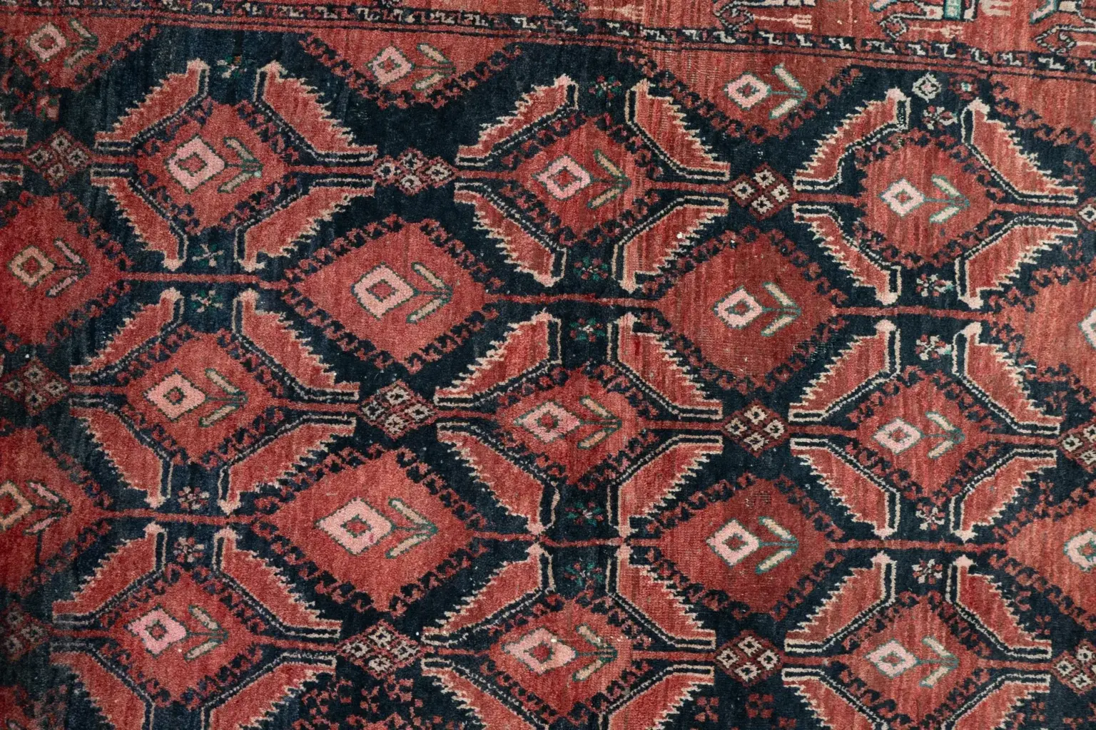 Baluch Low Pile 3.4 × 6.1 View 1