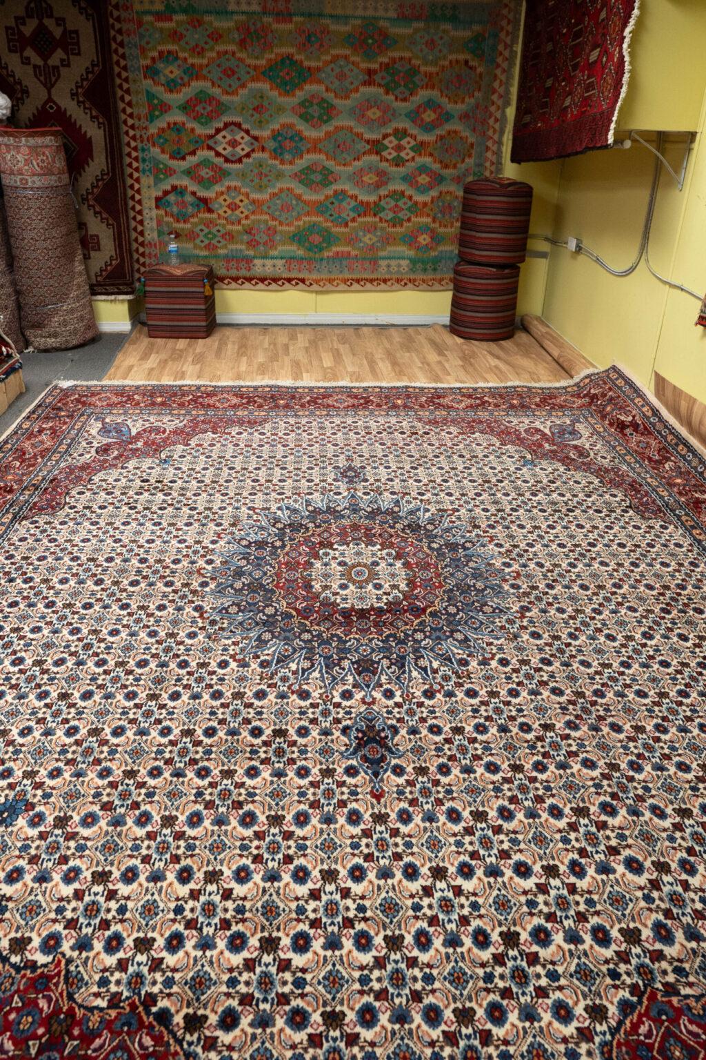 Moud Rug 9.5x12.5 View 5