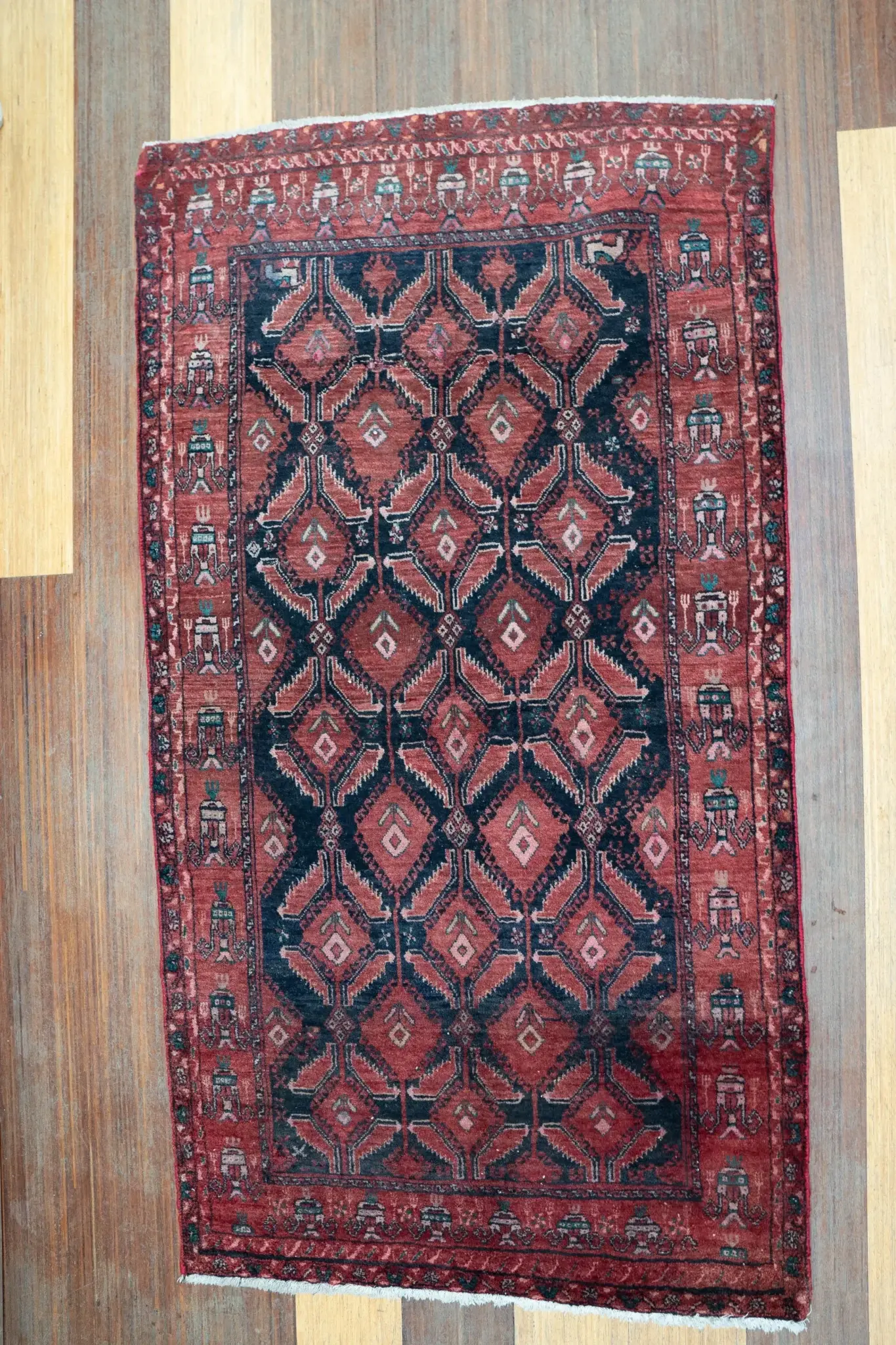 Baluch Low Pile 3.4 × 6.1 View 4