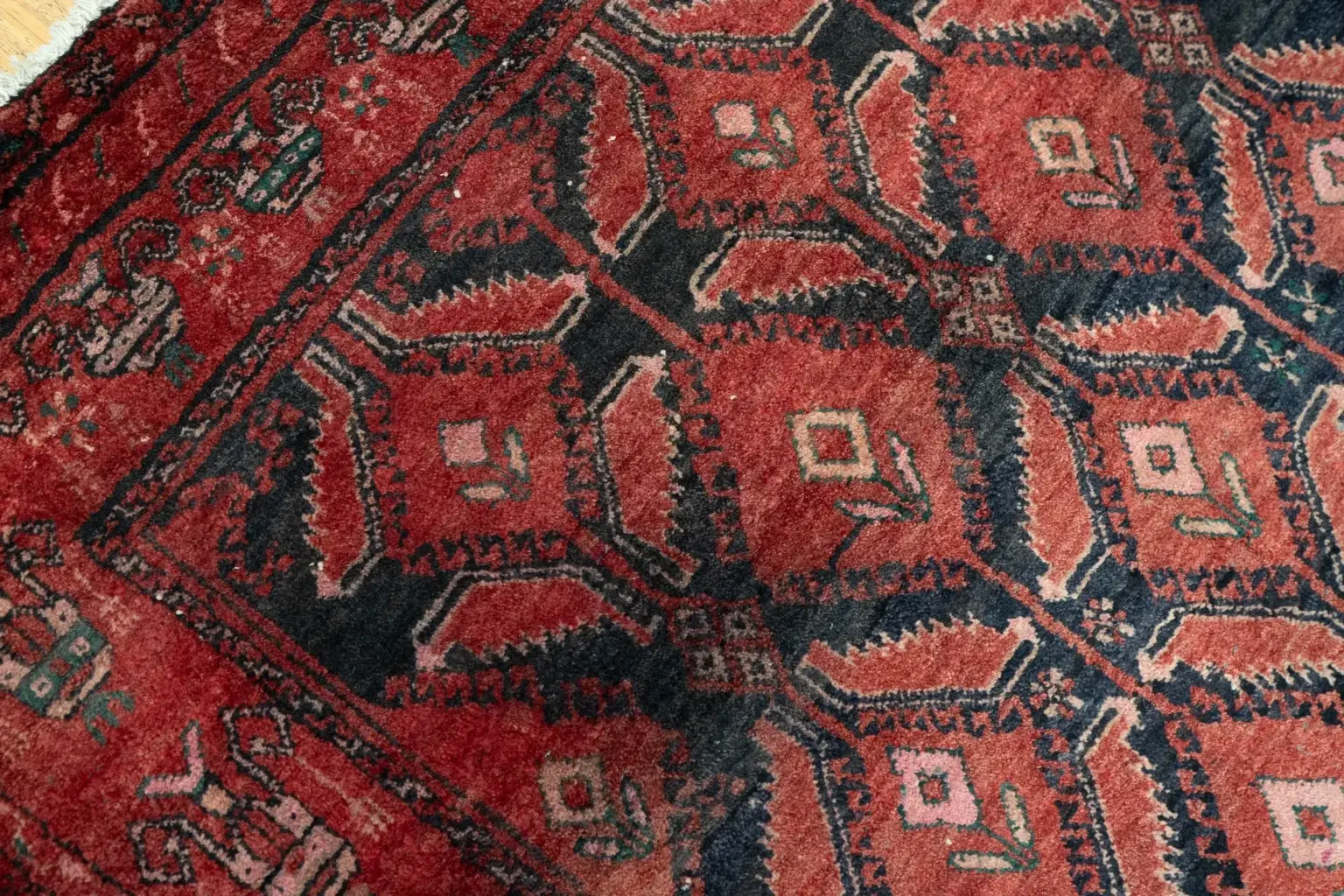 Baluch Low Pile 3.4 × 6.1 View 2