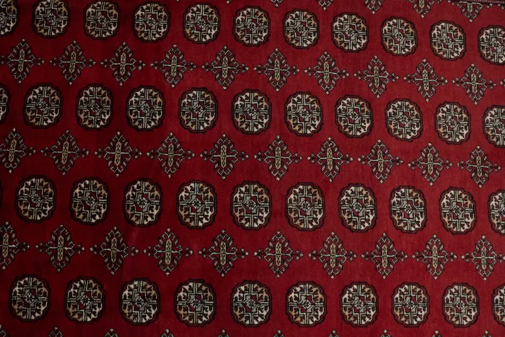Bokhara Wool Rug 9.2'x6.2' View 3