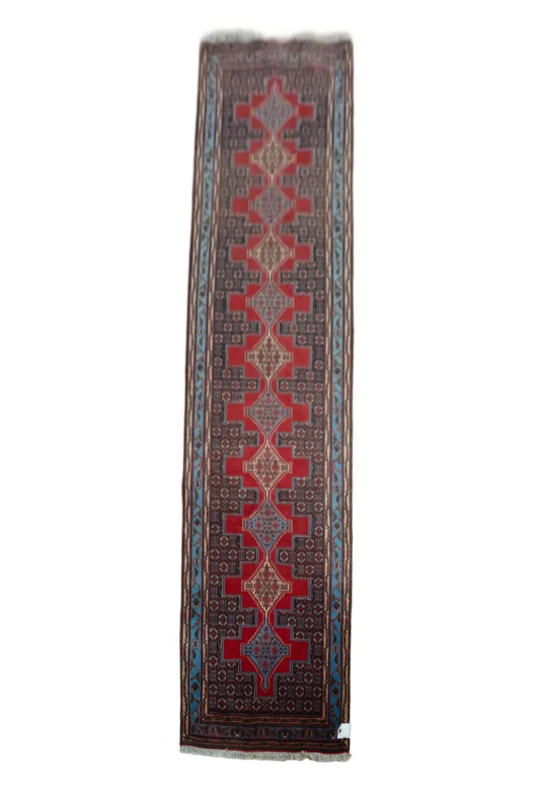 Bidjar Wool Rug 2.9 x 9.3'