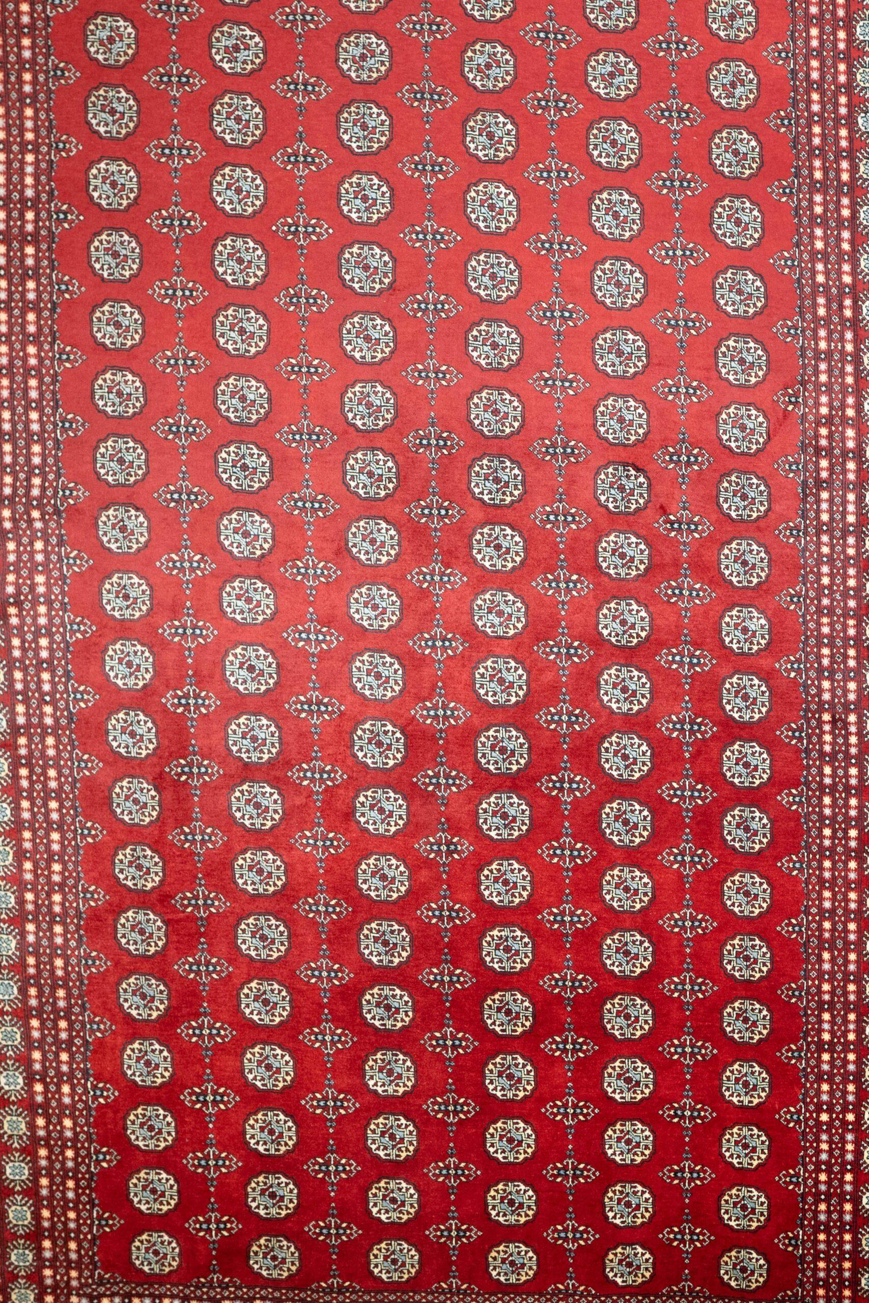 Bokhara Wool Rug 9.0x12.6 View 1